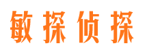 恩平敏探私家侦探公司